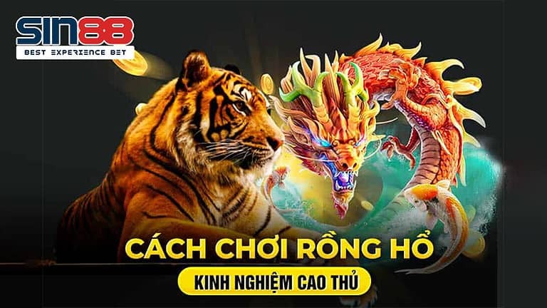 cách chơi rồng hổ